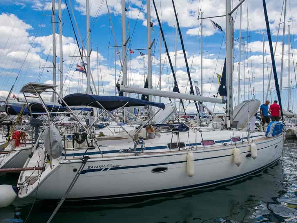 Photo 3 of Lady Clam
