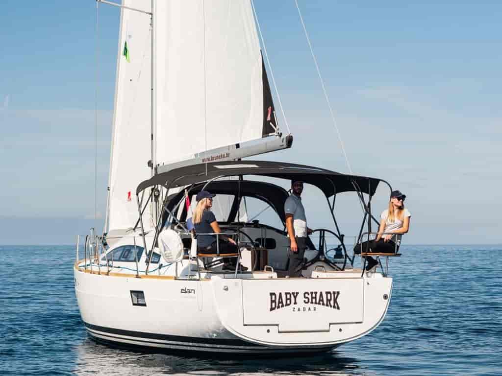 Photo 4 of Baby Shark