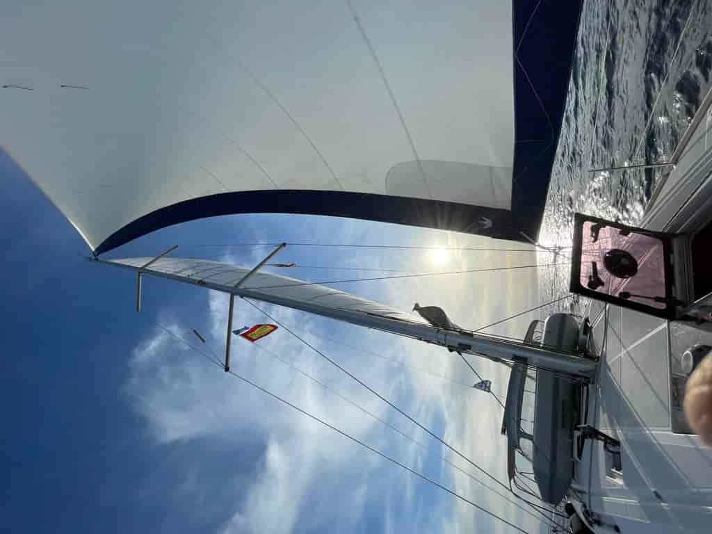 Boat picture 31