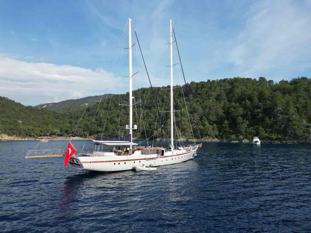Photo 2 of Nautilus