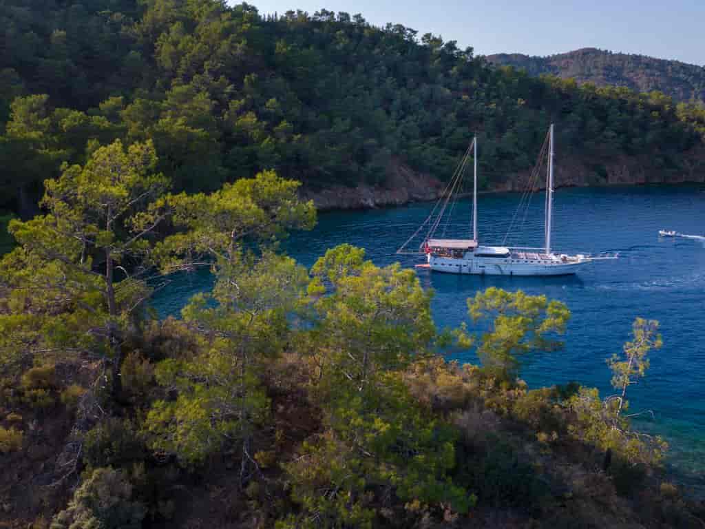 Boat picture 48