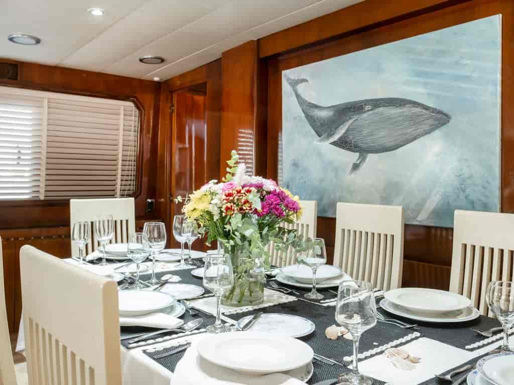 Boat picture 12