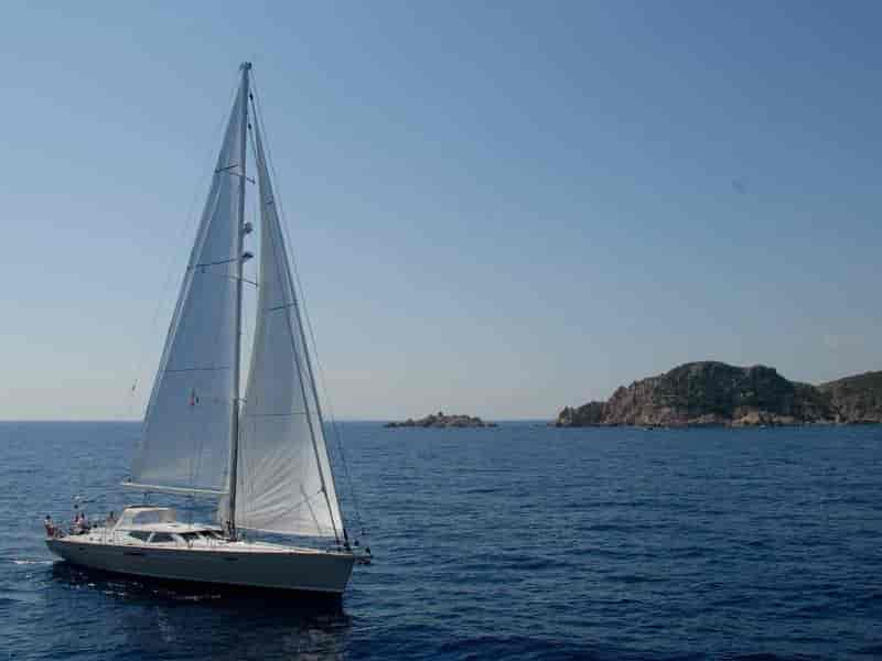 Photo of Makay, image 1 of 2