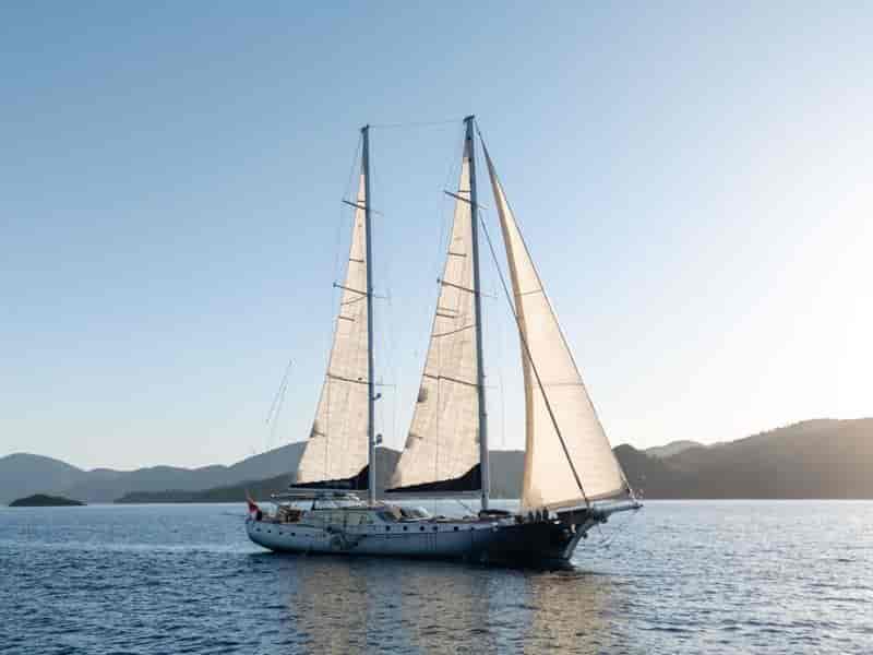 Photo of Silver Moon, image 1 of 1