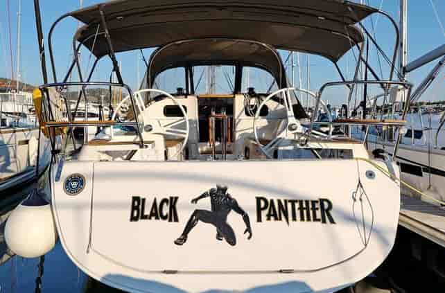 Photo of Black Panther, image 1 of 5