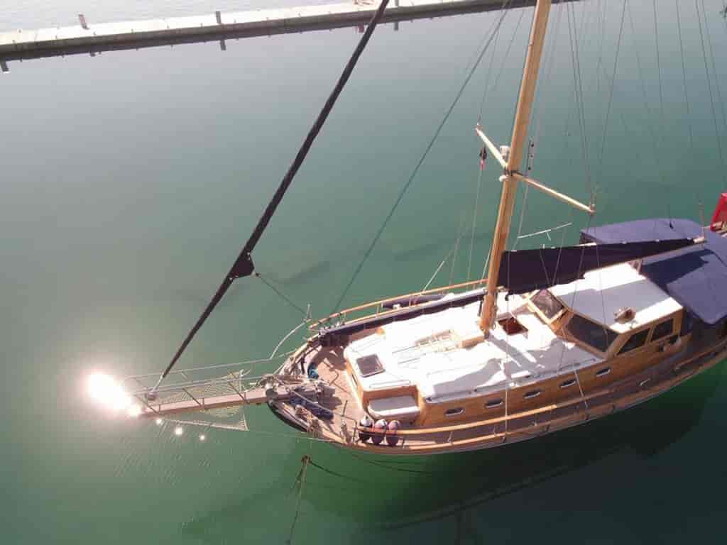 Photo 4 of Larus