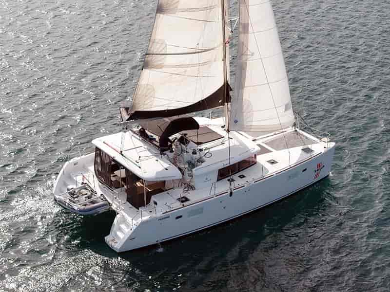 Photo of Zuzo 2, image 1 of 5