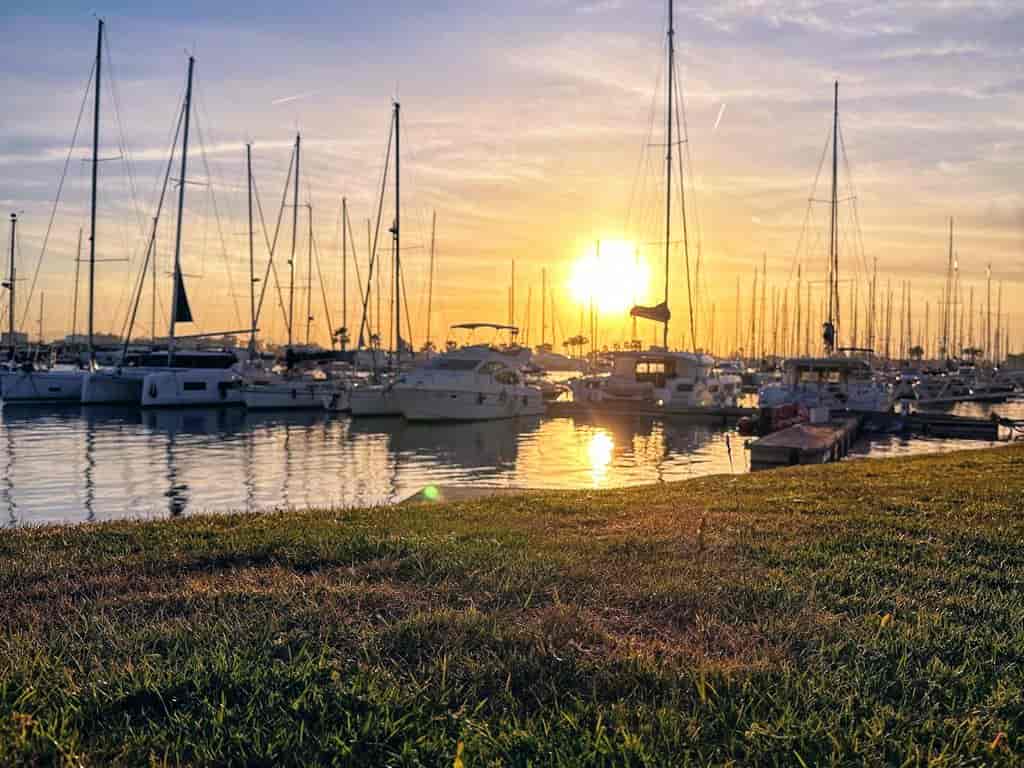 Boat picture 42