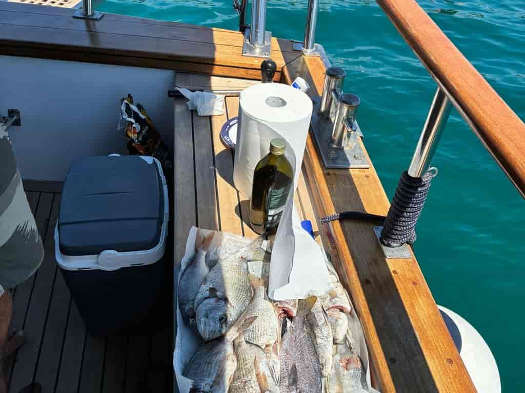 Boat picture 18