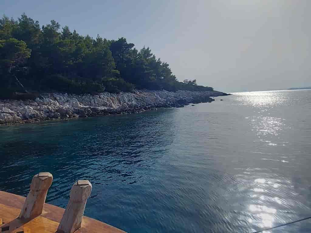 Boat picture 15