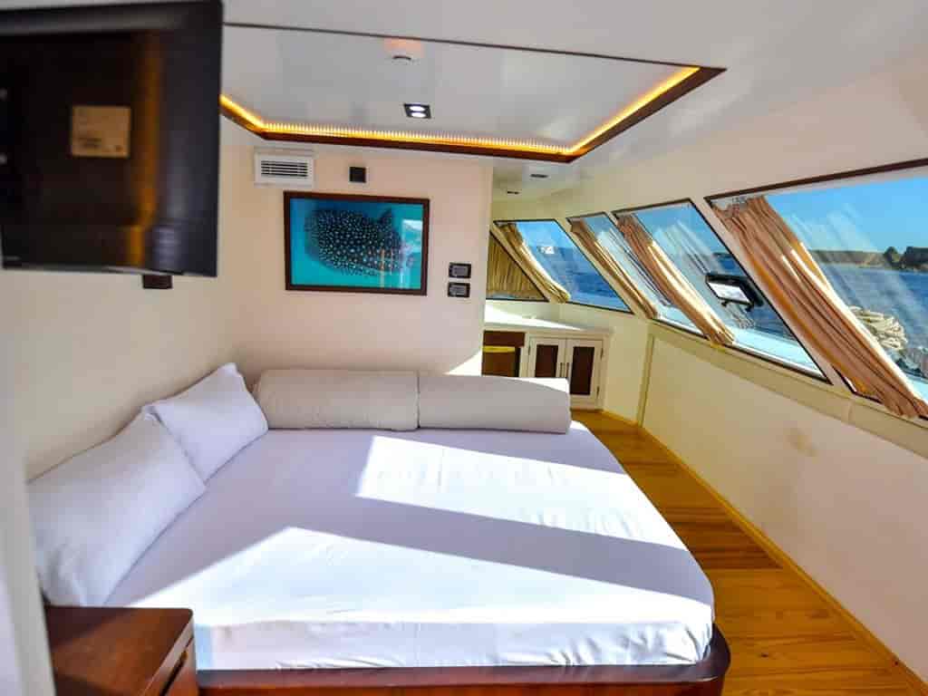 Boat picture 18