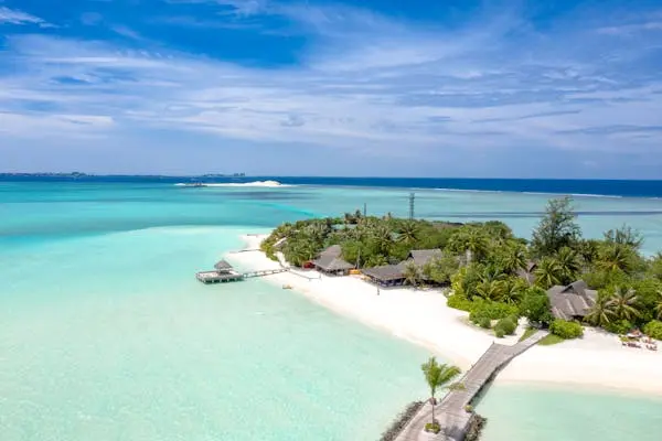 Caraibi